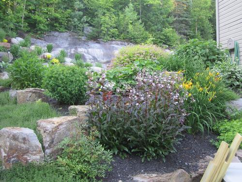 Exterior - 204 Ch. De Chaumont, Saint-Adolphe-D'Howard, QC - Outdoor