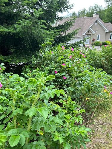 Exterior - 204 Ch. De Chaumont, Saint-Adolphe-D'Howard, QC - Outdoor