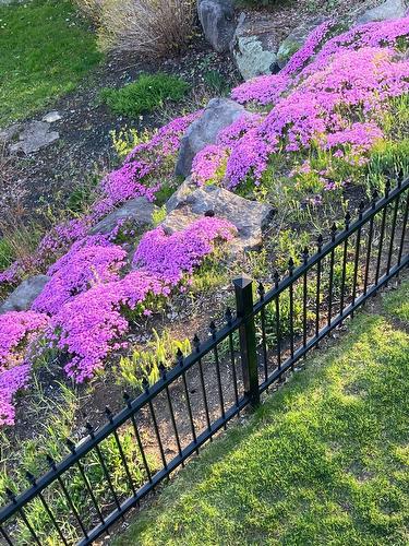 Exterior - 204 Ch. De Chaumont, Saint-Adolphe-D'Howard, QC - Outdoor