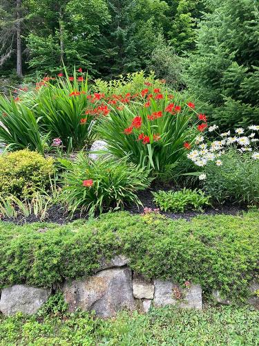 Exterior - 204 Ch. De Chaumont, Saint-Adolphe-D'Howard, QC - Outdoor