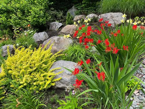 Exterior - 204 Ch. De Chaumont, Saint-Adolphe-D'Howard, QC - Outdoor