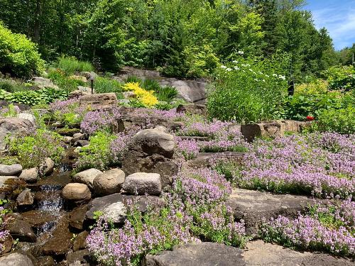 Exterior - 204 Ch. De Chaumont, Saint-Adolphe-D'Howard, QC - Outdoor