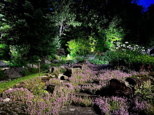 Exterior - 204 Ch. De Chaumont, Saint-Adolphe-D'Howard, QC - Outdoor