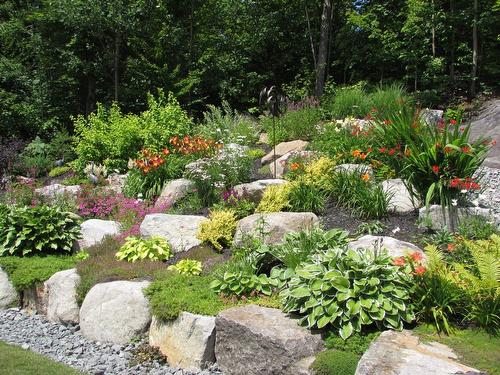 Exterior - 204 Ch. De Chaumont, Saint-Adolphe-D'Howard, QC - Outdoor