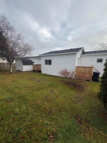 20 Pinegrove Drive, Paradise, NL 