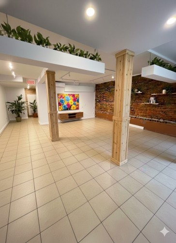 Salle communautaire - 5225 Av. Du Parc, Montréal (Le Plateau-Mont-Royal), QC - Indoor Photo Showing Other Room