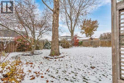 17 Dogwood Drive, Tillsonburg, ON - Outdoor