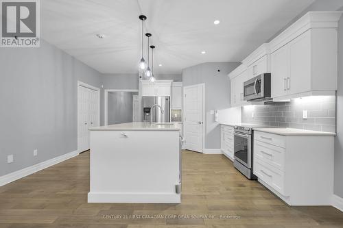 25 Birchall Lane, St. Thomas, ON - Indoor Photo Showing Kitchen With Upgraded Kitchen