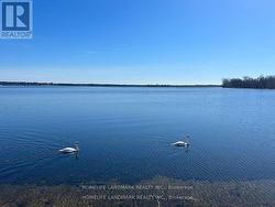 3816 - 17 BATHURST STREET  Toronto, ON M5V 0N1