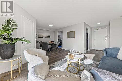 705 - 155 Hillcrest Avenue, Mississauga, ON - Indoor Photo Showing Living Room