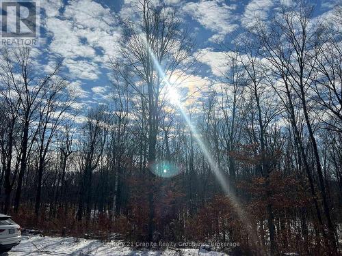 00 Ross Trail, Dysart Et Al (Harburn), ON - Outdoor With View
