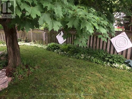 Backyard - 922 Glendale Court, Burlington, ON - Outdoor