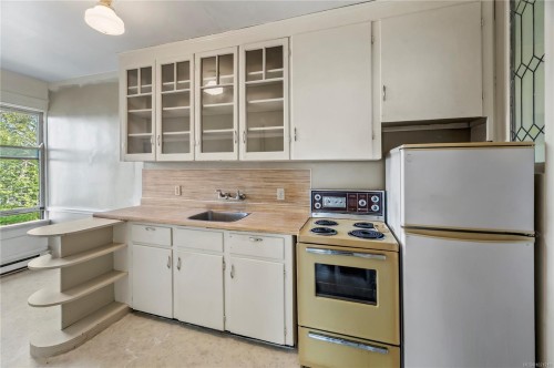 1157 Princess Ave, Victoria, BC - Indoor Photo Showing Kitchen