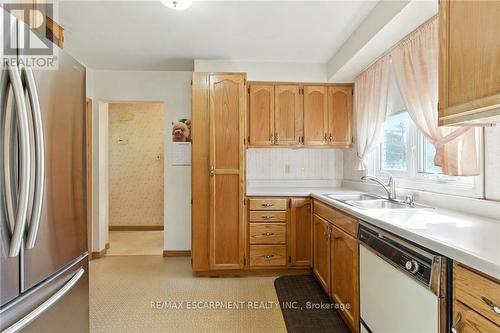 18 Jasper Drive, Hamilton, ON - Indoor Photo Showing Kitchen With Double Sink