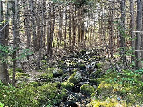 1 Wades Farm Road, Flatrock, NL 