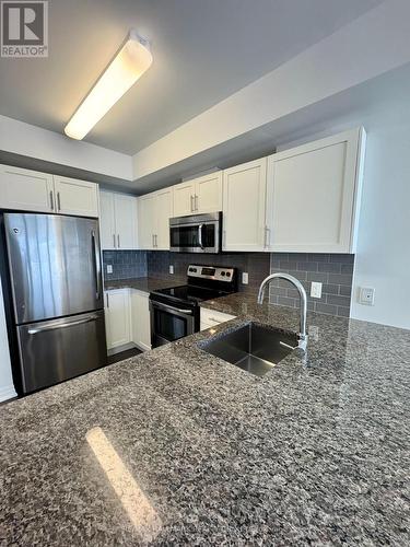 2003 - 195 Besserer Street, Ottawa, ON - Indoor Photo Showing Kitchen With Stainless Steel Kitchen With Double Sink