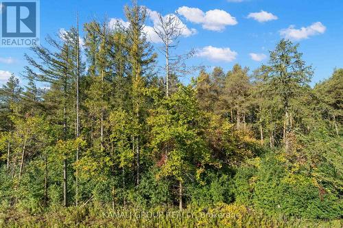 Ravine Lot! - 121 Milky Way Drive, Richmond Hill, ON - Outdoor With View