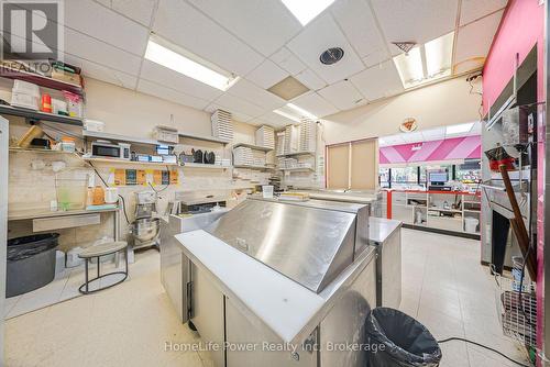 223 Louisa Street, Kitchener, ON 