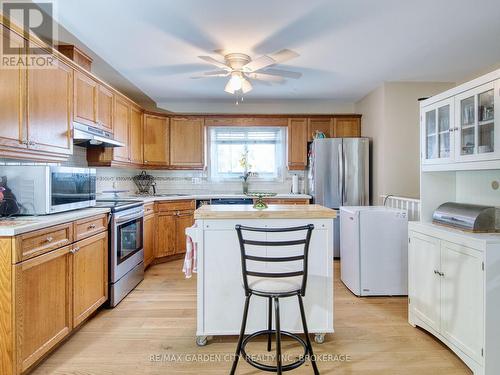 61 Concord Avenue, St. Catharines (Facer), ON - Indoor Photo Showing Kitchen