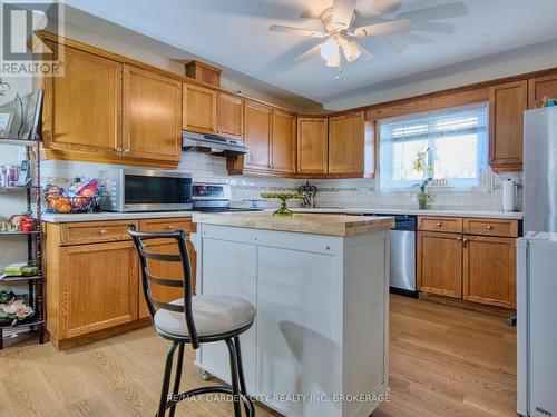 61 Concord Avenue, St. Catharines (Facer), ON - Indoor Photo Showing Kitchen