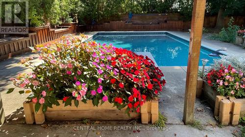 5192 Reeves Road, Burlington, ON - Outdoor With In Ground Pool With Backyard