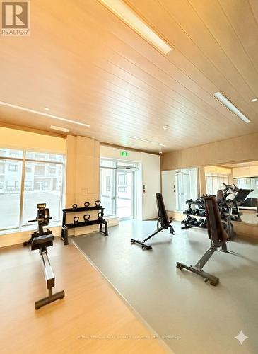 222 - 3250 Carding Mill Trail, Oakville, ON - Indoor Photo Showing Gym Room