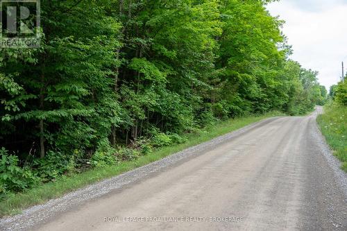 Pt Lt 14 Henderson Road, Greater Napanee (Greater Napanee), ON 