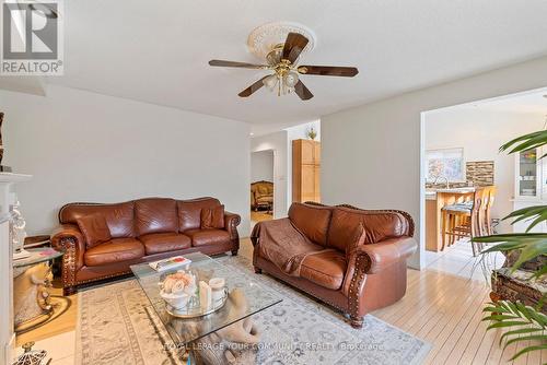 3 Nature Court, Hamilton, ON - Indoor Photo Showing Living Room
