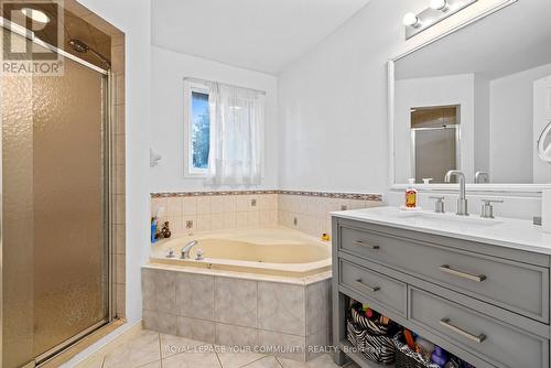 3 Nature Court, Hamilton, ON - Indoor Photo Showing Bathroom
