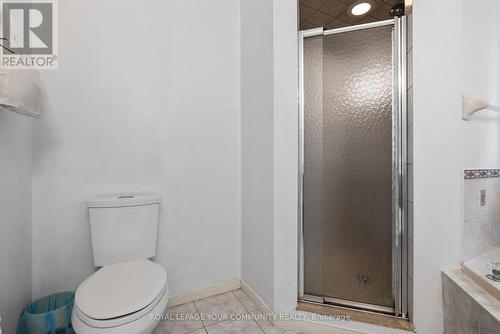 3 Nature Court, Hamilton, ON - Indoor Photo Showing Bathroom