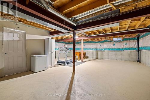 3 Nature Court, Hamilton, ON - Indoor Photo Showing Basement
