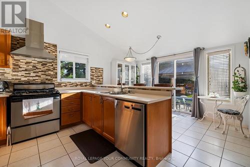 3 Nature Court, Hamilton, ON - Indoor Photo Showing Kitchen With Double Sink