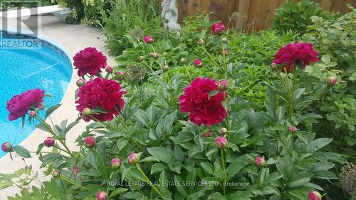 5171 Hidden Valley Court, Mississauga, ON - Outdoor