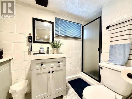 2861 Raymond Street, Greater Sudbury, ON - Indoor Photo Showing Bathroom