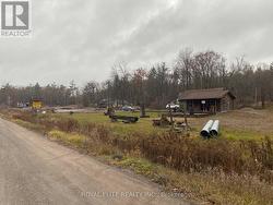 16 BUCKHORN TRAIL  Trent Lakes, ON K0L 1J0