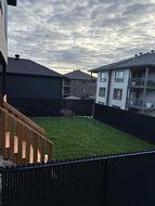 Backyard - 