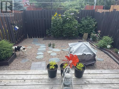 60 Lester Street, St. John'S, NL - Outdoor