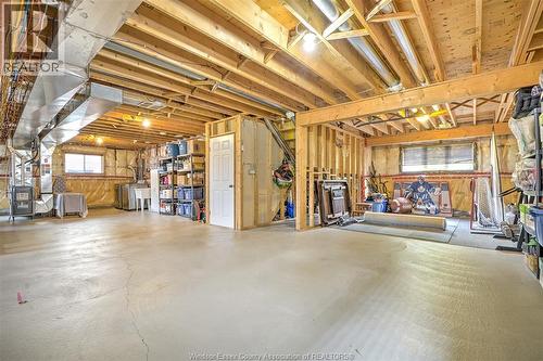 1415 Magnolia Avenue, Windsor, ON - Indoor Photo Showing Basement
