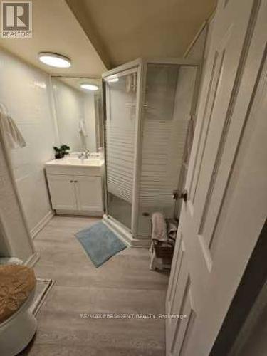 6593 Edenwood Drive, Mississauga, ON - Indoor Photo Showing Bathroom