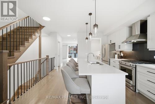 229 Vermont Avenue, Newmarket, ON - Indoor Photo Showing Kitchen With Double Sink With Upgraded Kitchen