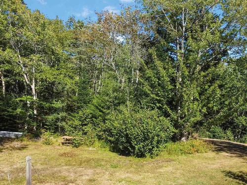 772 Parker Mountain Road, Parkers Cove, NS 