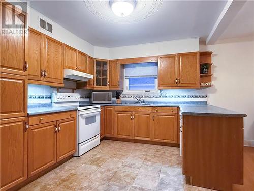 107 Copper Street, Greater Sudbury, ON - Indoor Photo Showing Kitchen With Double Sink