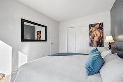 Chambre à coucher principale - 