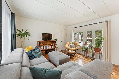 Living room - 10 Ch. Grenier, Sutton, QC - Indoor Photo Showing Living Room