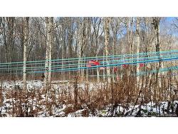 NA Woods RD  Kedgwick, NB E8B 1H1