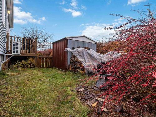 12 Adelaide Avenue, Halifax, NS 