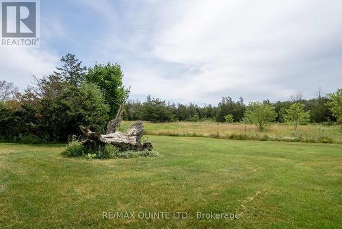 595 Elmbrook Road, Prince Edward County (Sophiasburg Ward), ON - Outdoor With View