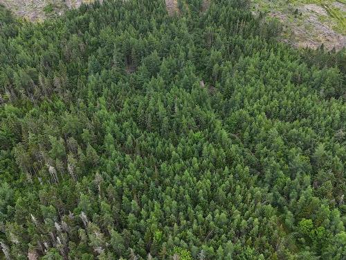 Highway 344, St. Francis Harbour, NS 