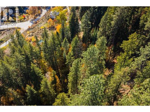 Ariel View of back yard acreage - 3175 Baker Road, South Slocan, BC - Outdoor With View