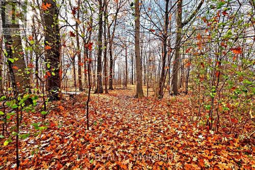 20 Burnley Place, Brampton, ON - Outdoor